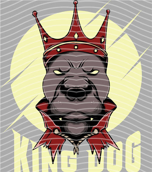 Street design-JT 4845